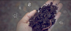 Shhhh, We’ve Got a Secret: Soil Solves Global Warming